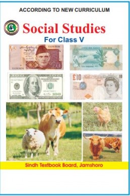5th Class Social Studies Text Book in English by Sindh Board (STBB)
